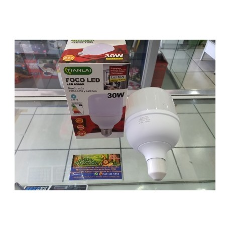 foco led 30w tlbv-10 s39w30